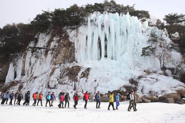 철원 한탄강 얼음트레킹 축제 추위가 만든 절경 만끽… 겨울을 걷는다